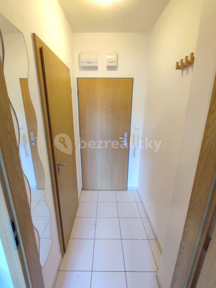 Pronájem bytu 1+kk 25 m², Božetěchova, Brno, Jihomoravský kraj Pronájem bytu 1+kk 25 m², Božetěchova, Brno, Jihomoravský kraj