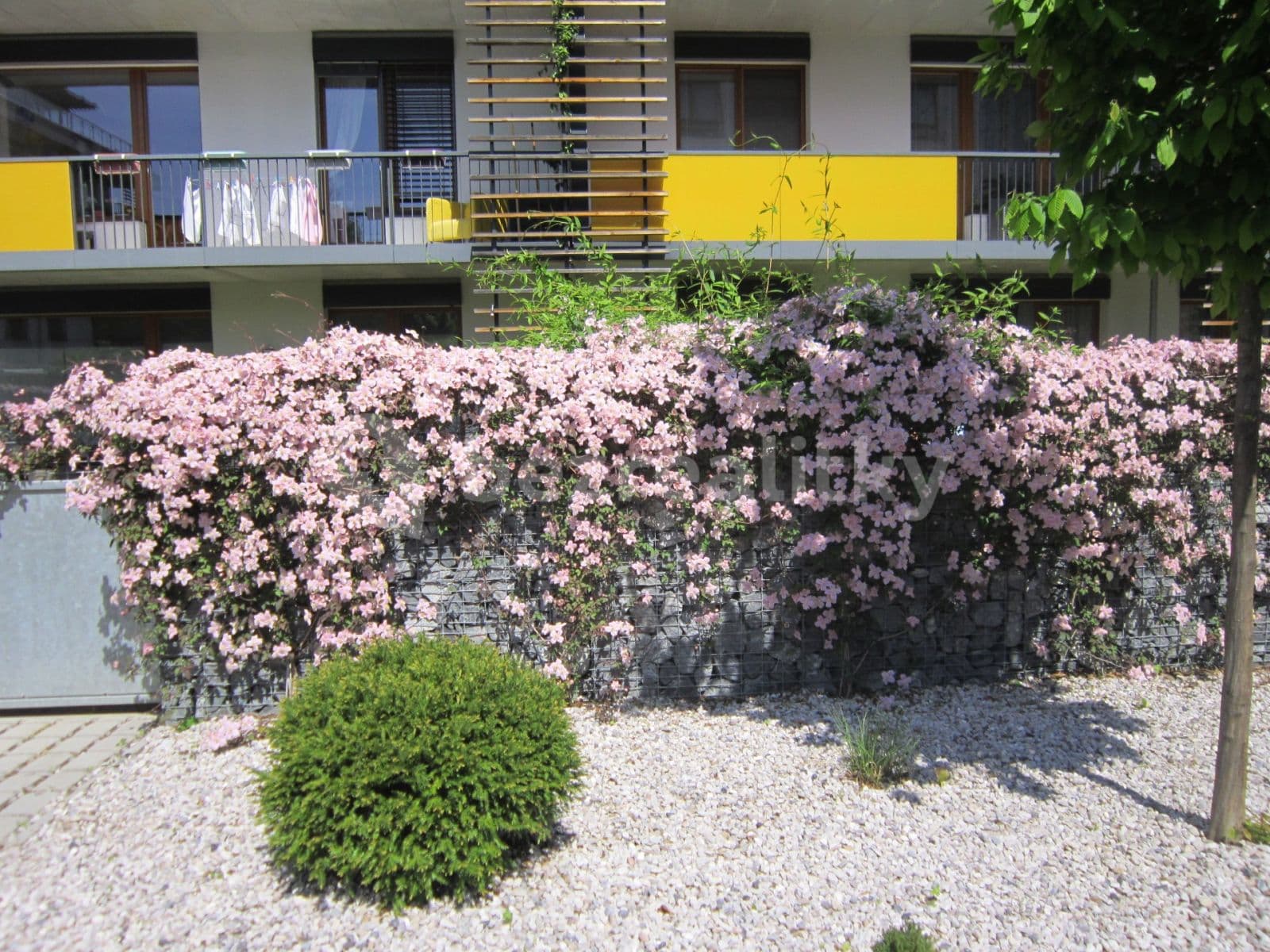 Pronájem bytu 3+kk 96 m², Plzeňská, Praha, Praha Pronájem bytu 3+kk 96 m², Plzeňská, Praha, Praha