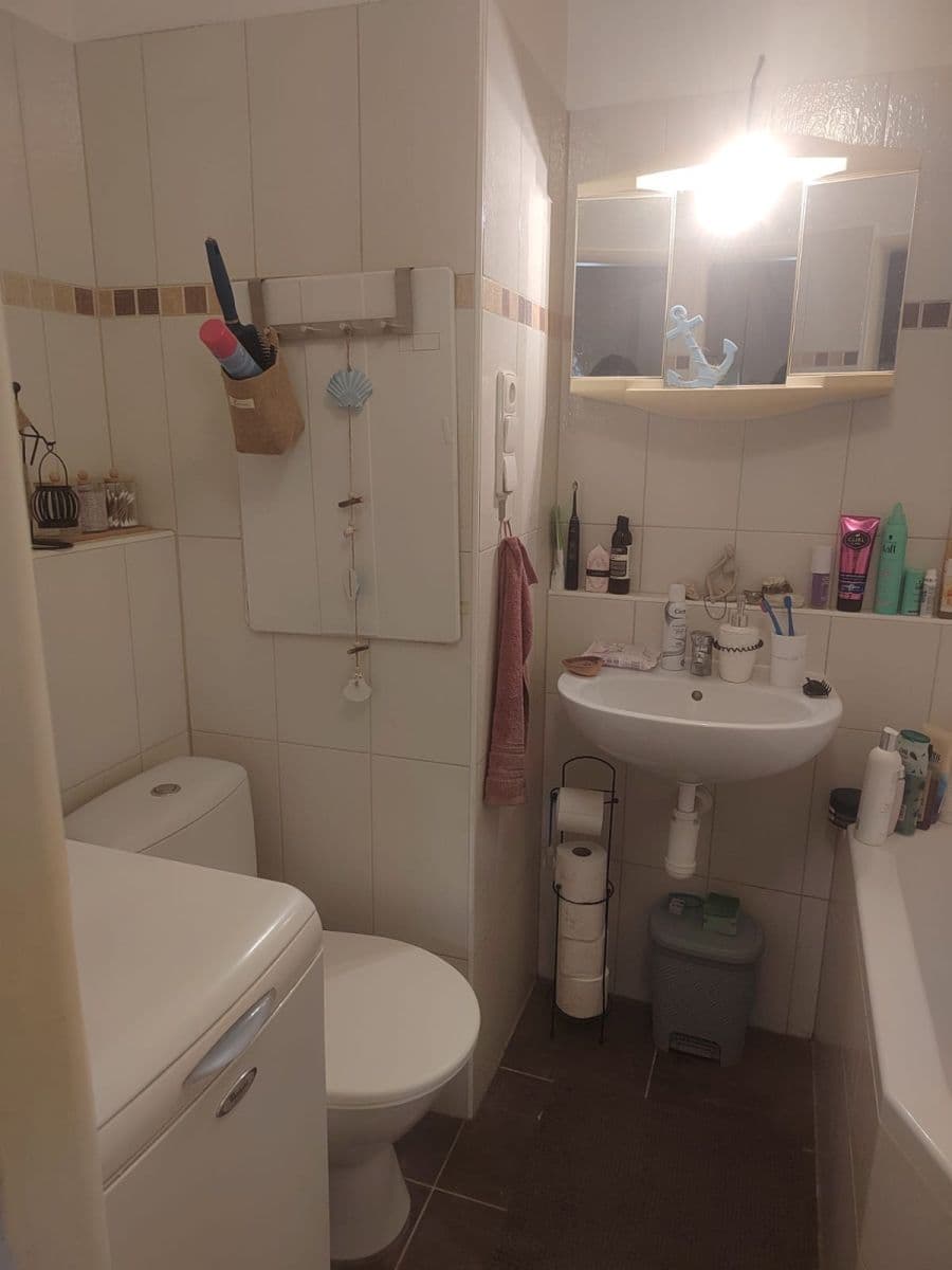 Pronájem bytu 27 m², Žitná, Brno, Jihomoravský kraj Pronájem bytu 27 m², Žitná, Brno, Jihomoravský kraj