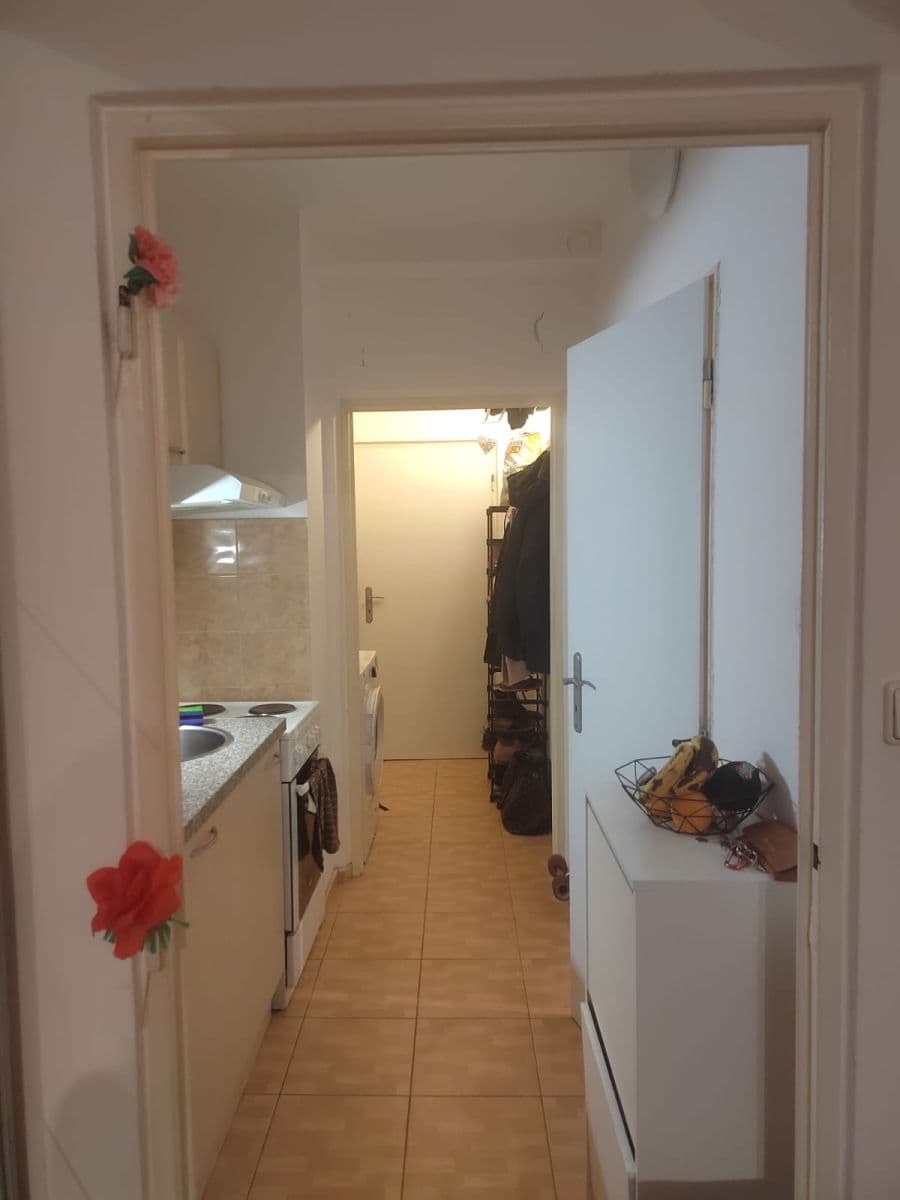 Pronájem bytu 27 m², Žitná, Brno, Jihomoravský kraj Pronájem bytu 27 m², Žitná, Brno, Jihomoravský kraj