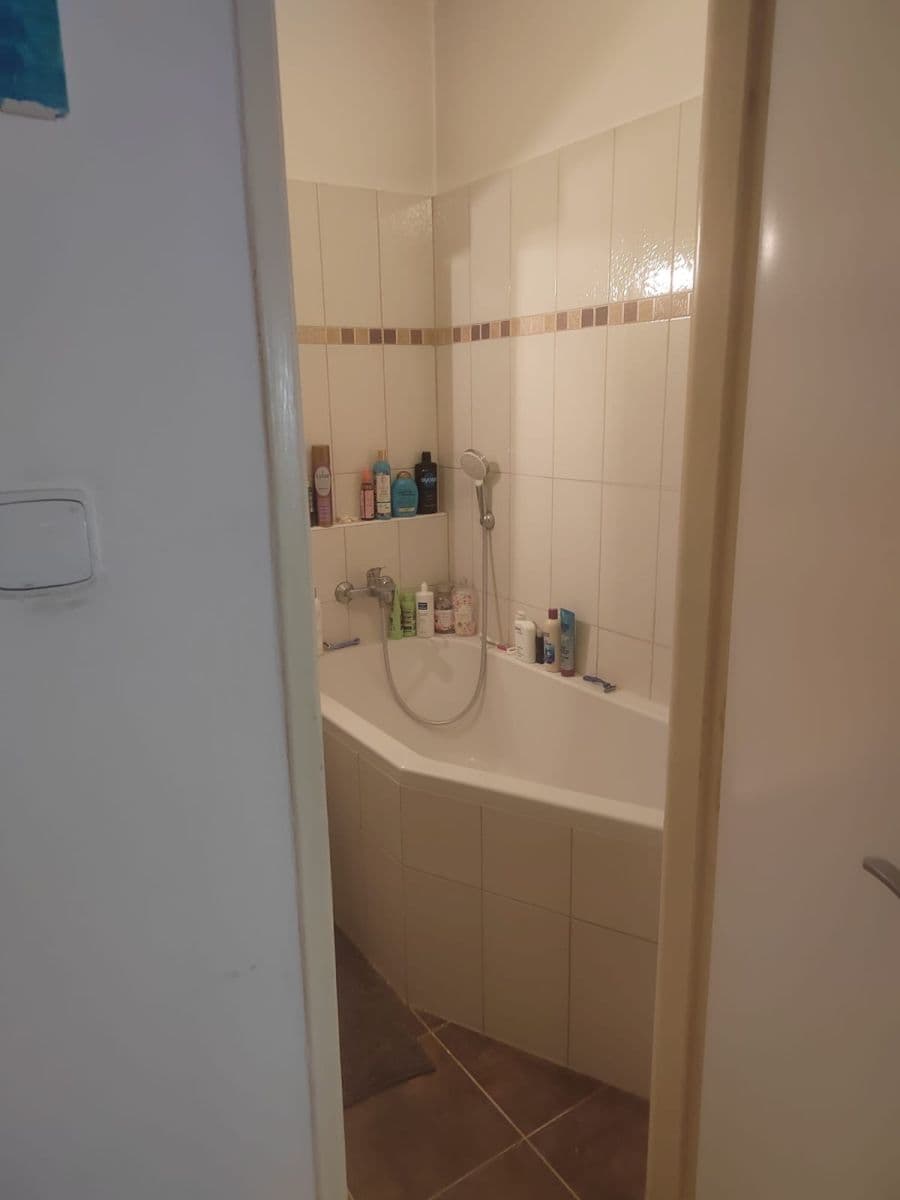 Pronájem bytu 27 m², Žitná, Brno, Jihomoravský kraj Pronájem bytu 27 m², Žitná, Brno, Jihomoravský kraj