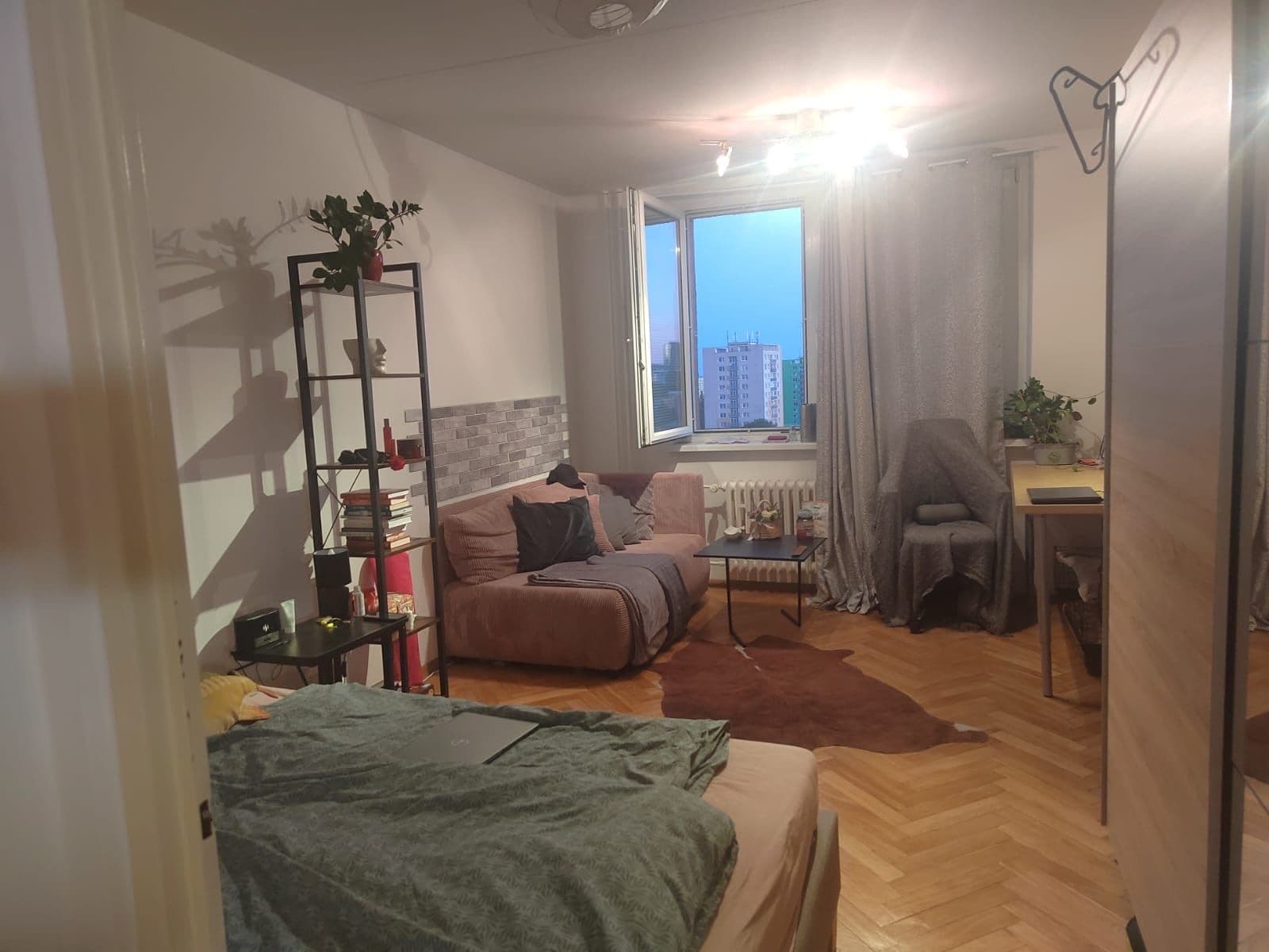 Pronájem bytu 27 m², Žitná, Brno, Jihomoravský kraj Pronájem bytu 27 m², Žitná, Brno, Jihomoravský kraj