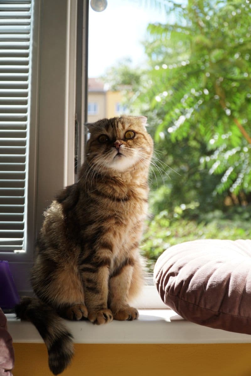 Pronájem bytu 16 m², Biskupcova, Praha, Praha Pronájem bytu 16 m², Biskupcova, Praha, Praha