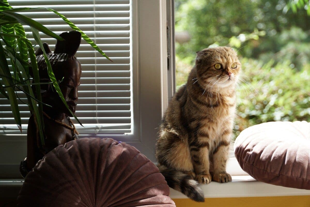 Pronájem bytu 16 m², Biskupcova, Praha, Praha Pronájem bytu 16 m², Biskupcova, Praha, Praha