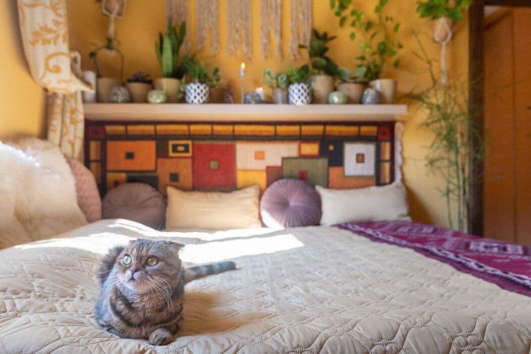 Pronájem bytu 16 m², Biskupcova, Praha, Praha Pronájem bytu 16 m², Biskupcova, Praha, Praha