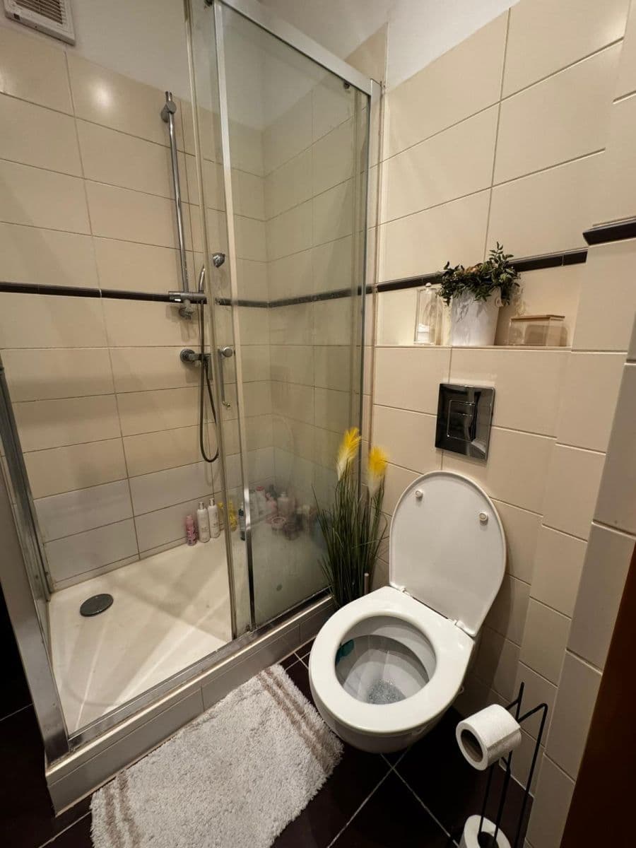 Pronájem bytu 2+kk 45 m², Zelenky-Hajského, Praha, Praha Pronájem bytu 2+kk 45 m², Zelenky-Hajského, Praha, Praha