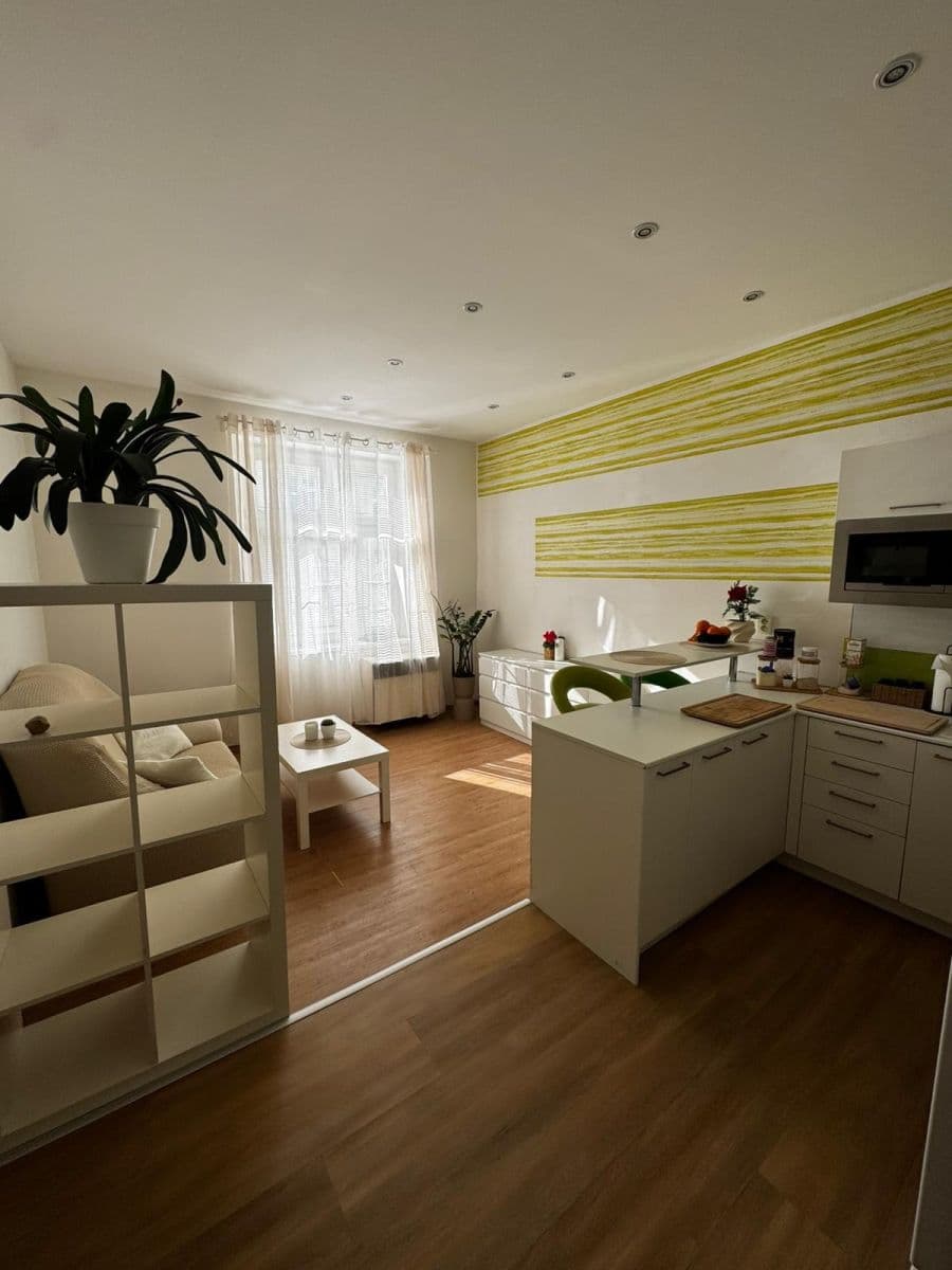 Pronájem bytu 2+kk 45 m², Zelenky-Hajského, Praha, Praha Pronájem bytu 2+kk 45 m², Zelenky-Hajského, Praha, Praha