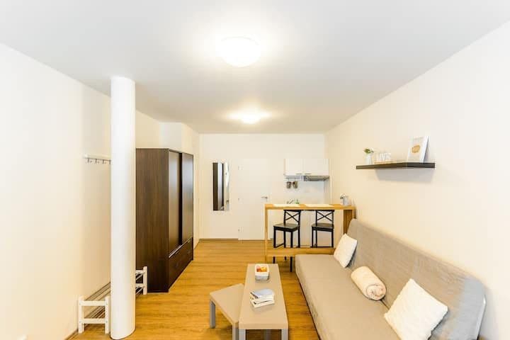Pronájem bytu 25 m², Víta Nejedlého, Praha, Praha Pronájem bytu 25 m², Víta Nejedlého, Praha, Praha