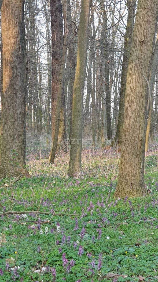 Pronájem domu 200 m², pozemek 970 m², Lhenická, Praha, Praha Pronájem domu 200 m², pozemek 970 m², Lhenická, Praha, Praha