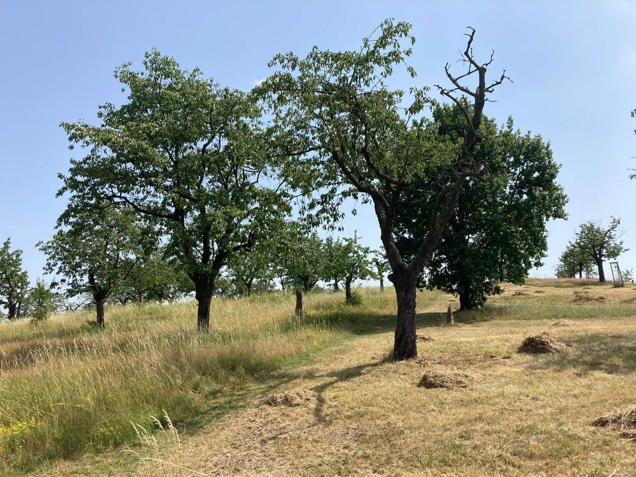 Pronájem bytu 2+kk 56 m², U Kněžské louky, Praha, Praha Pronájem bytu 2+kk 56 m², U Kněžské louky, Praha, Praha