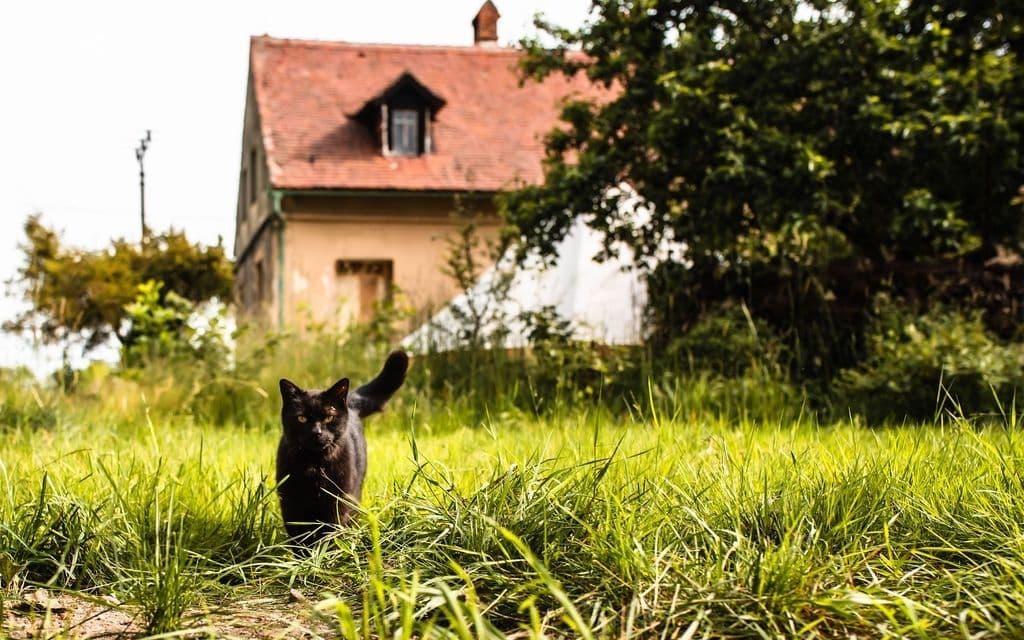 Prodej domu 420 m², pozemek 1.440 m², Jindřichovice pod Smrkem, Liberecký kraj Prodej domu 420 m², pozemek 1.440 m², Jindřichovice pod Smrkem, Liberecký kraj