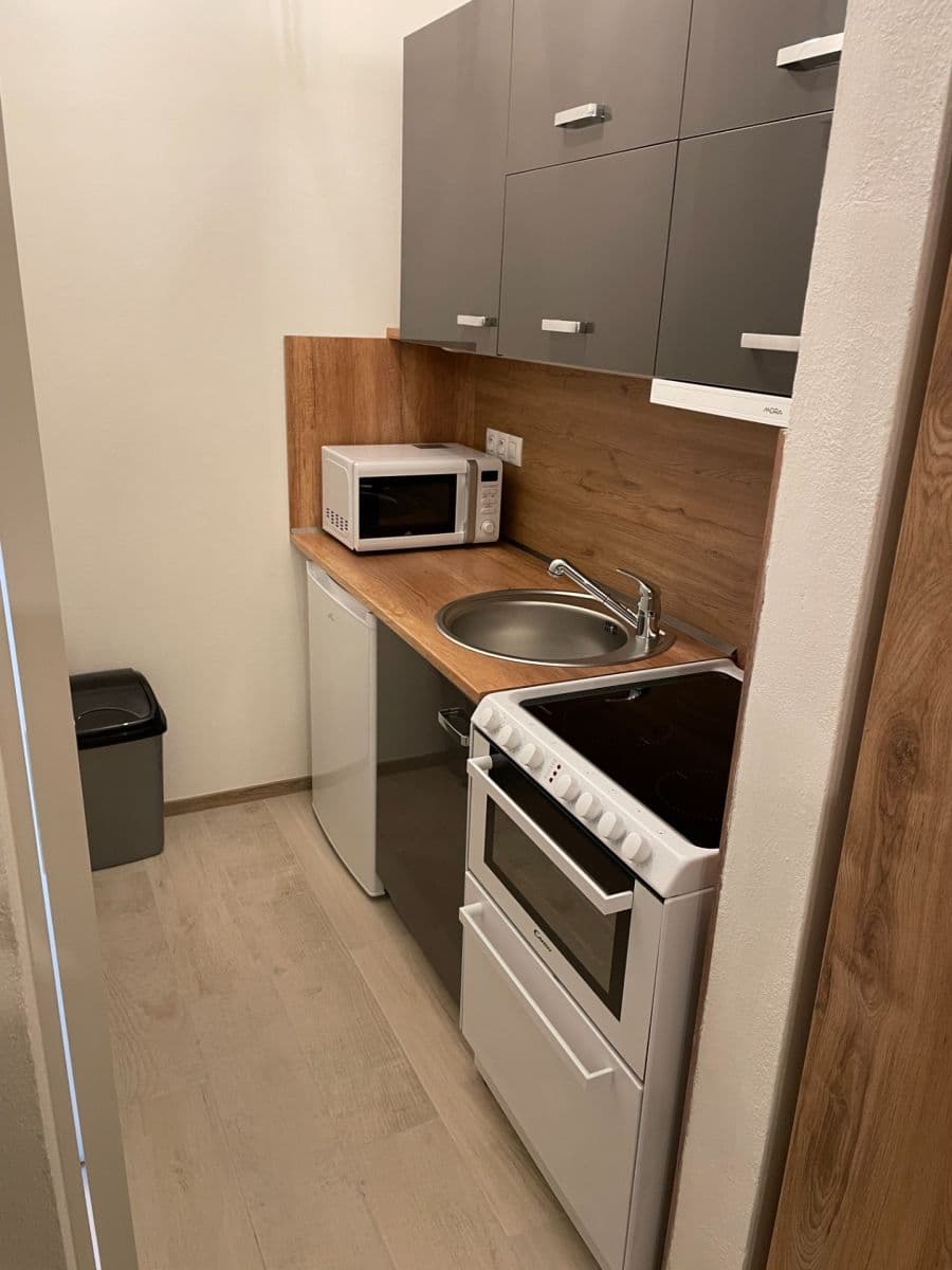 Pronájem bytu 1+kk 33 m², Pod Stráží, Plzeň, Plzeňský kraj Pronájem bytu 1+kk 33 m², Pod Stráží, Plzeň, Plzeňský kraj