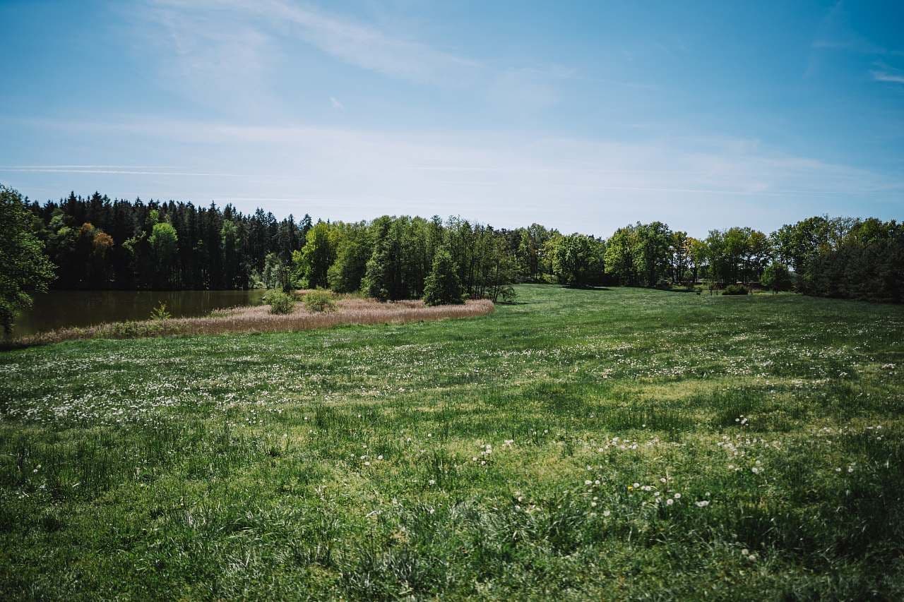 Pronájem chaty, chalupy, Kadov, Jihočeský kraj Pronájem chaty, chalupy, Kadov, Jihočeský kraj