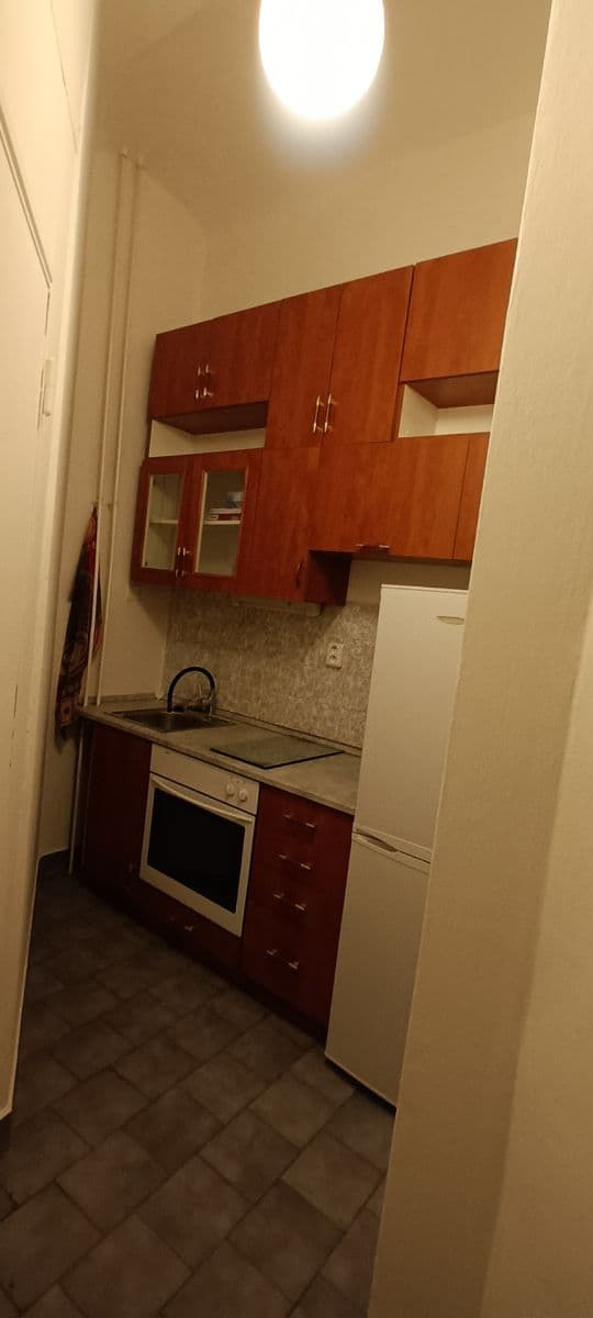 Pronájem bytu 1+kk 40 m², Londýnská, Praha, Praha Pronájem bytu 1+kk 40 m², Londýnská, Praha, Praha