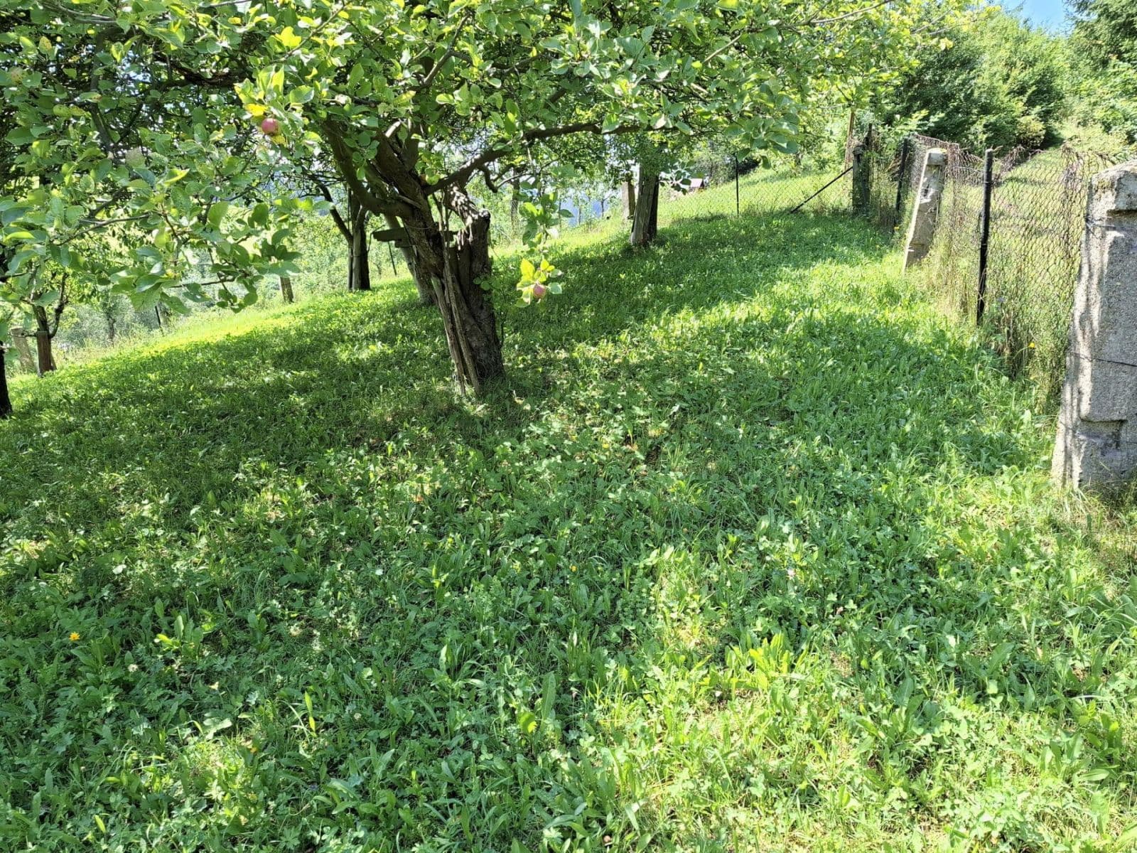 Prodej pozemku 541 m², Hronov, Královéhradecký kraj Prodej pozemku 541 m², Hronov, Královéhradecký kraj