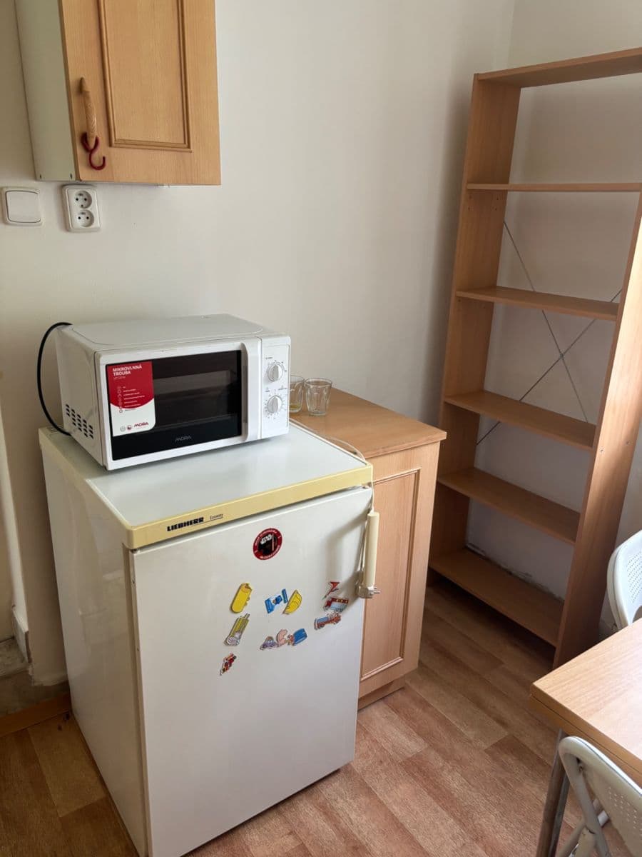 Pronájem bytu 1+1 25 m², Roztylské sady, Praha, Praha Pronájem bytu 1+1 25 m², Roztylské sady, Praha, Praha