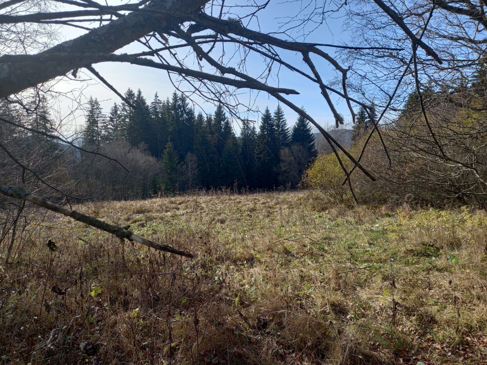 Prodej pozemku 1.000 m², Borová Lada, Jihočeský kraj Prodej pozemku 1.000 m², Borová Lada, Jihočeský kraj