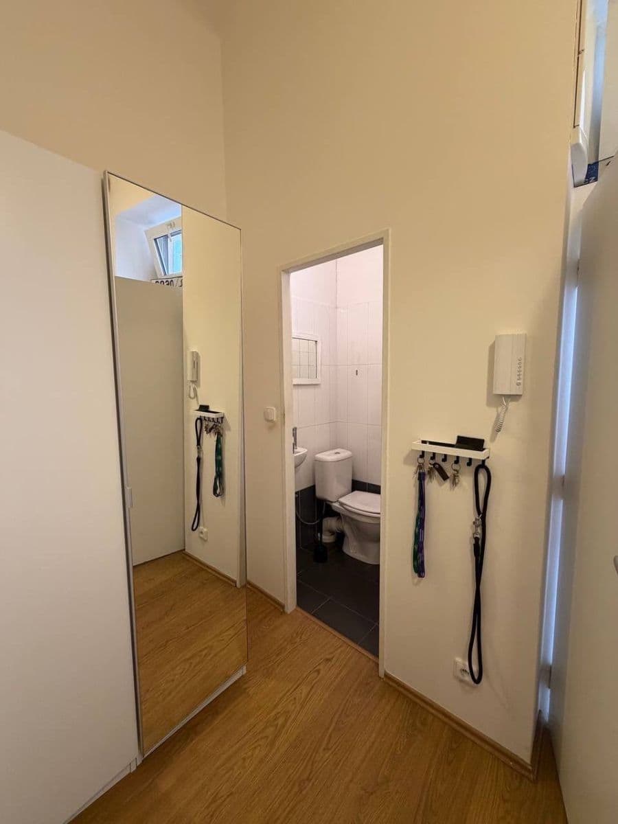 Pronájem bytu 1+1 41 m², Jeronýmova, Praha, Praha Pronájem bytu 1+1 41 m², Jeronýmova, Praha, Praha