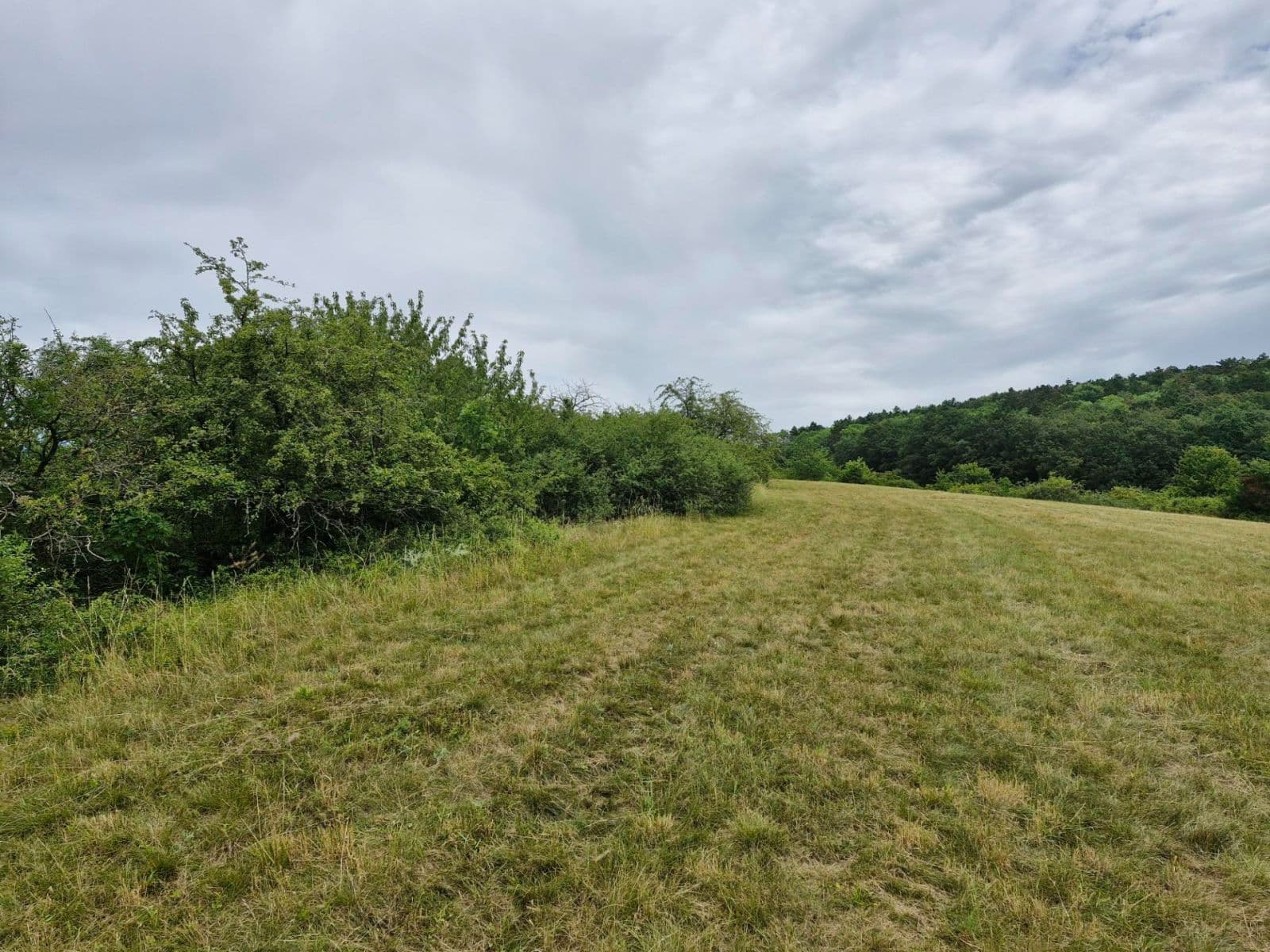 Prodej pozemku 1.672 m², Vinařice, Středočeský kraj Prodej pozemku 1.672 m², Vinařice, Středočeský kraj