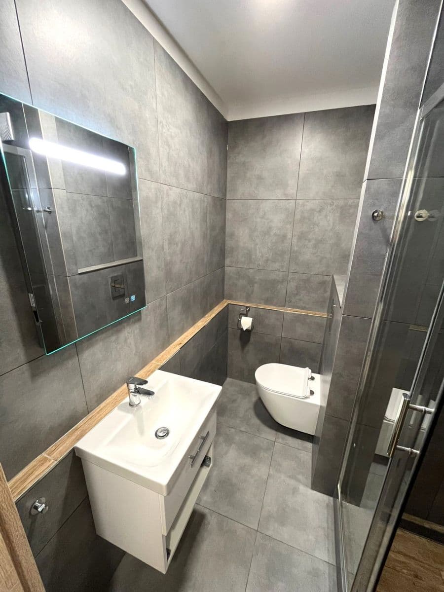 Pronájem bytu 1+kk 30 m², U Parku, Ostrava, Moravskoslezský kraj Pronájem bytu 1+kk 30 m², U Parku, Ostrava, Moravskoslezský kraj