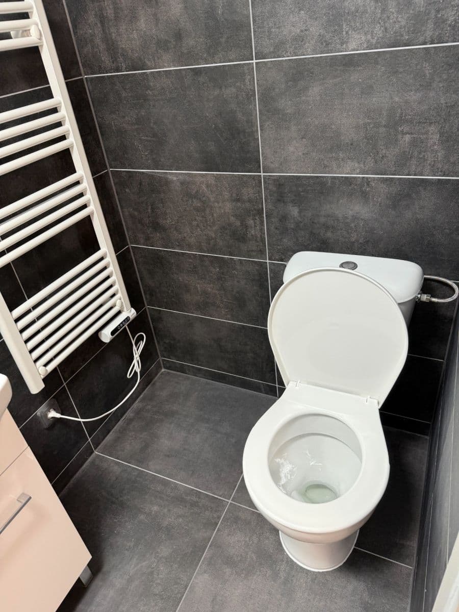 Prodej bytu 2+1 56 m², Čestmírova, Praha, Praha Prodej bytu 2+1 56 m², Čestmírova, Praha, Praha