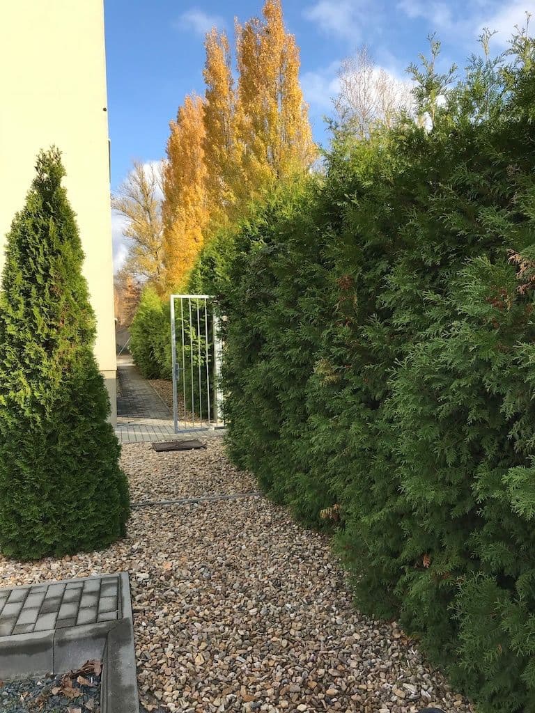 Pronájem bytu 1+kk 37 m², Rušná, Brno, Jihomoravský kraj Pronájem bytu 1+kk 37 m², Rušná, Brno, Jihomoravský kraj