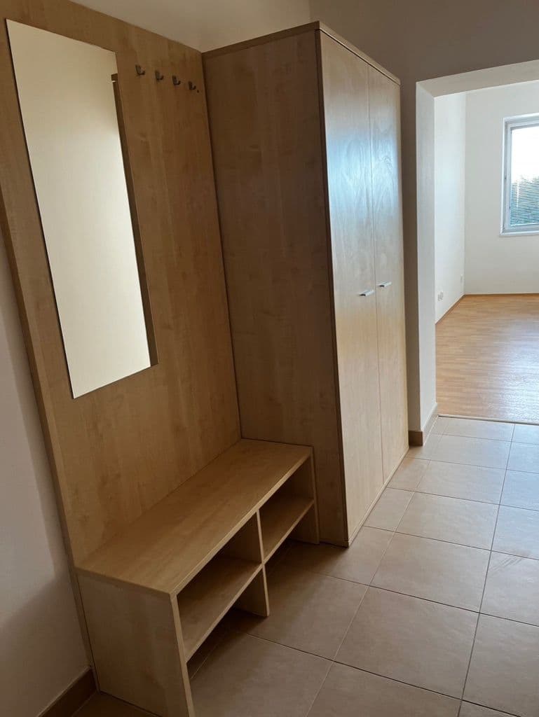 Pronájem bytu 1+kk 37 m², Rušná, Brno, Jihomoravský kraj Pronájem bytu 1+kk 37 m², Rušná, Brno, Jihomoravský kraj