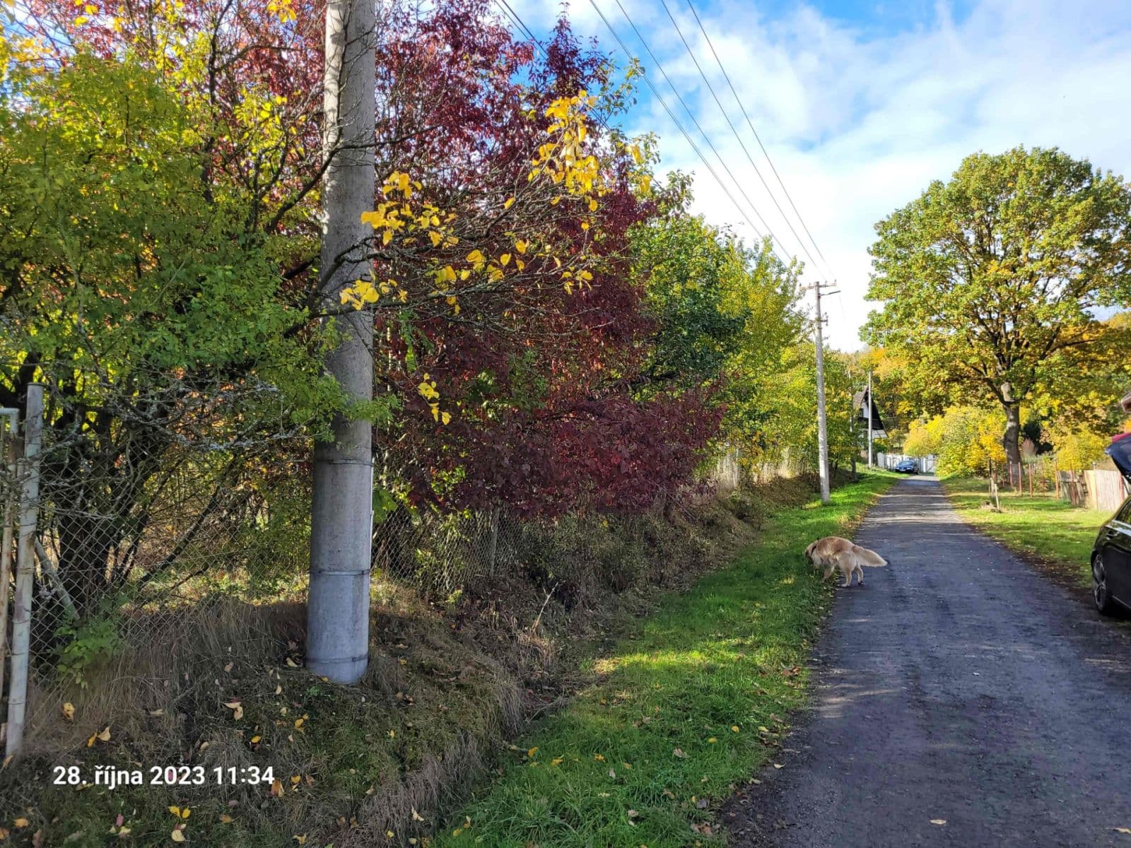 Prodej pozemku 1.161 m², Koloveč, Plzeňský kraj Prodej pozemku 1.161 m², Koloveč, Plzeňský kraj