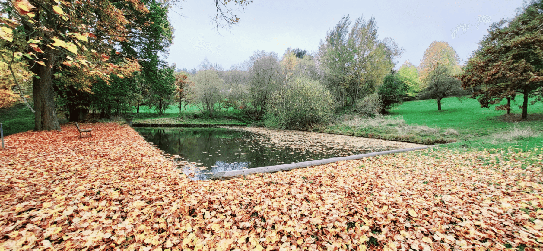Prodej pozemku 1.161 m², Koloveč, Plzeňský kraj Prodej pozemku 1.161 m², Koloveč, Plzeňský kraj