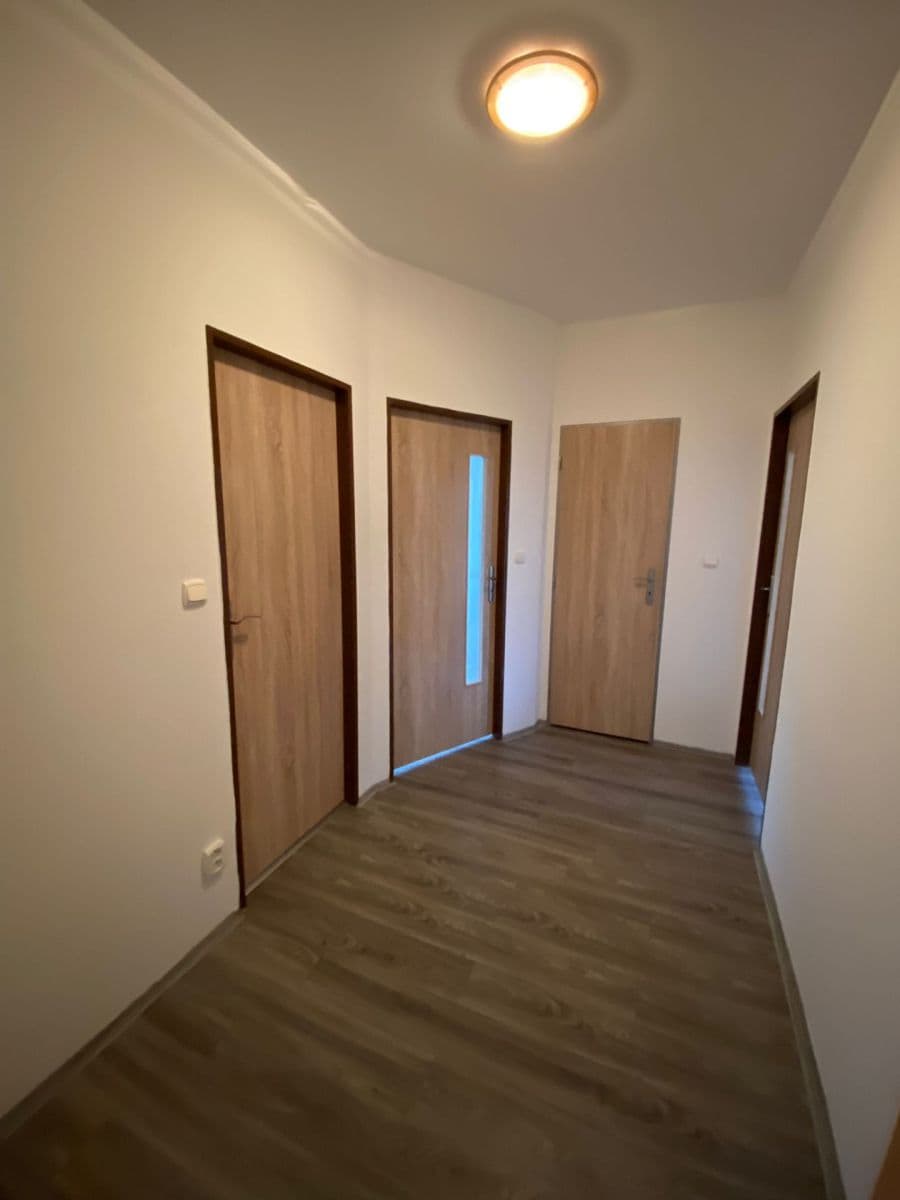Pronájem bytu 1+1 47 m², Říční, Plzeň, Plzeňský kraj Pronájem bytu 1+1 47 m², Říční, Plzeň, Plzeňský kraj
