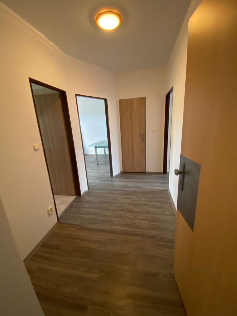 Pronájem bytu 1+1 47 m², Říční, Plzeň, Plzeňský kraj Pronájem bytu 1+1 47 m², Říční, Plzeň, Plzeňský kraj