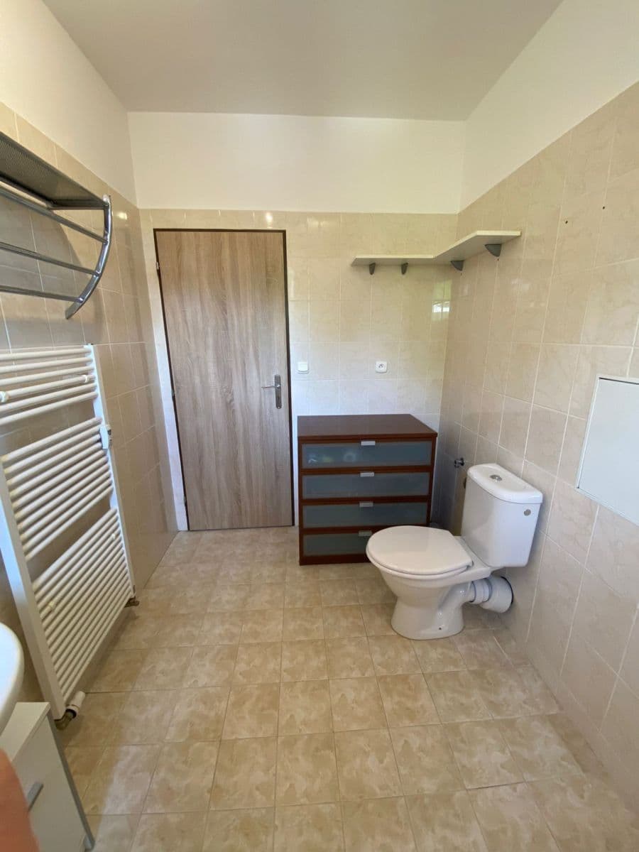 Pronájem bytu 1+1 47 m², Říční, Plzeň, Plzeňský kraj Pronájem bytu 1+1 47 m², Říční, Plzeň, Plzeňský kraj