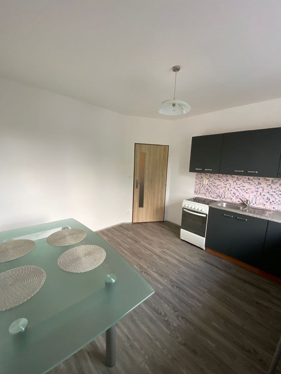 Pronájem bytu 1+1 47 m², Říční, Plzeň, Plzeňský kraj Pronájem bytu 1+1 47 m², Říční, Plzeň, Plzeňský kraj