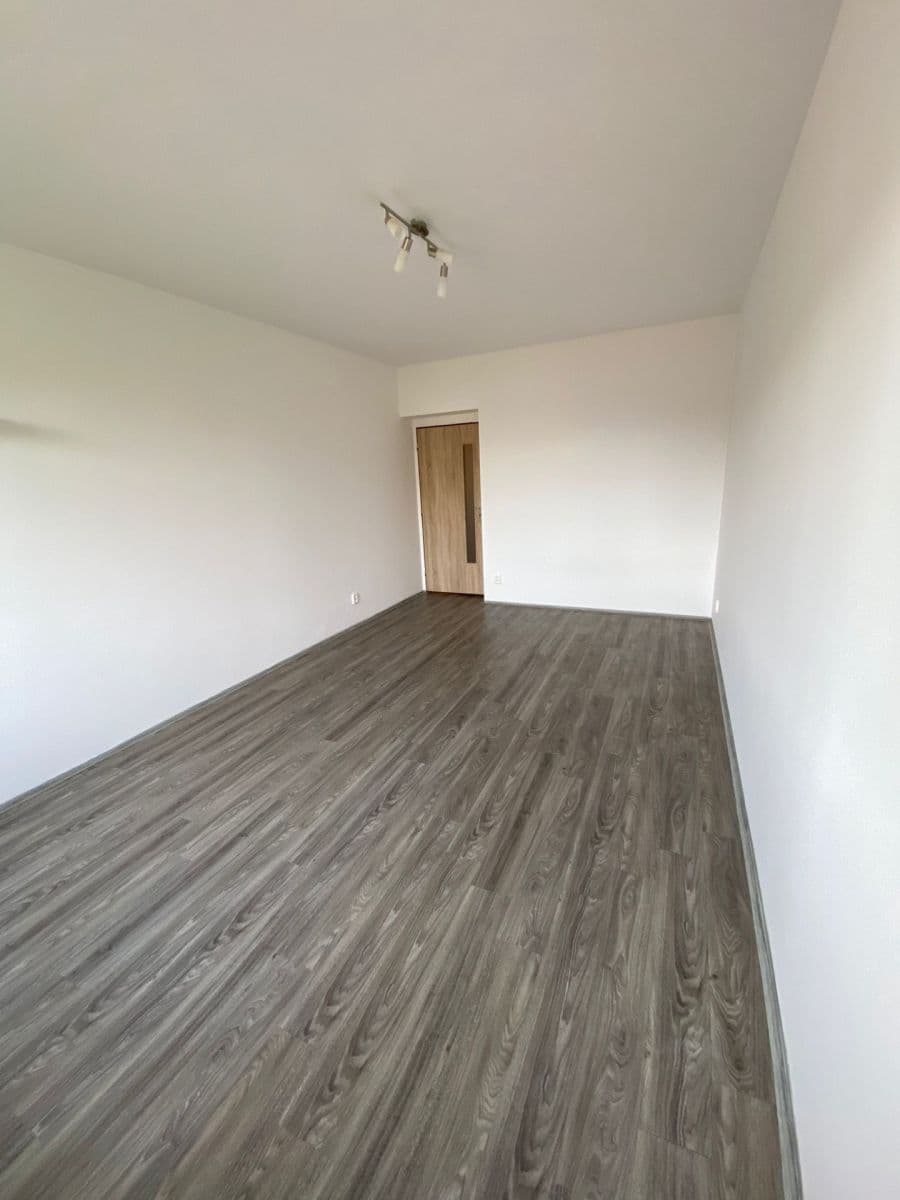 Pronájem bytu 1+1 47 m², Říční, Plzeň, Plzeňský kraj Pronájem bytu 1+1 47 m², Říční, Plzeň, Plzeňský kraj