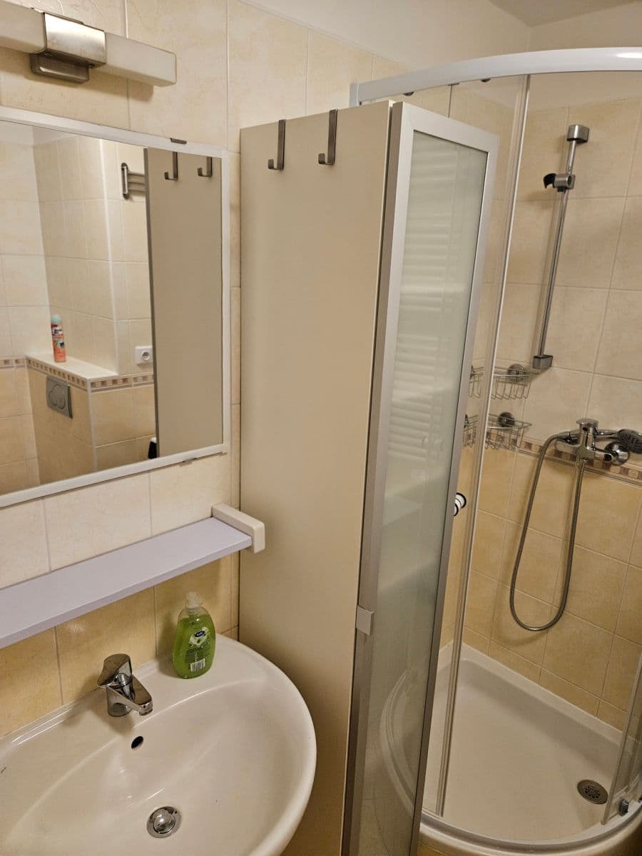 Pronájem bytu 1+kk 36 m², U Měšťanského pivovaru, Praha, Praha Pronájem bytu 1+kk 36 m², U Měšťanského pivovaru, Praha, Praha