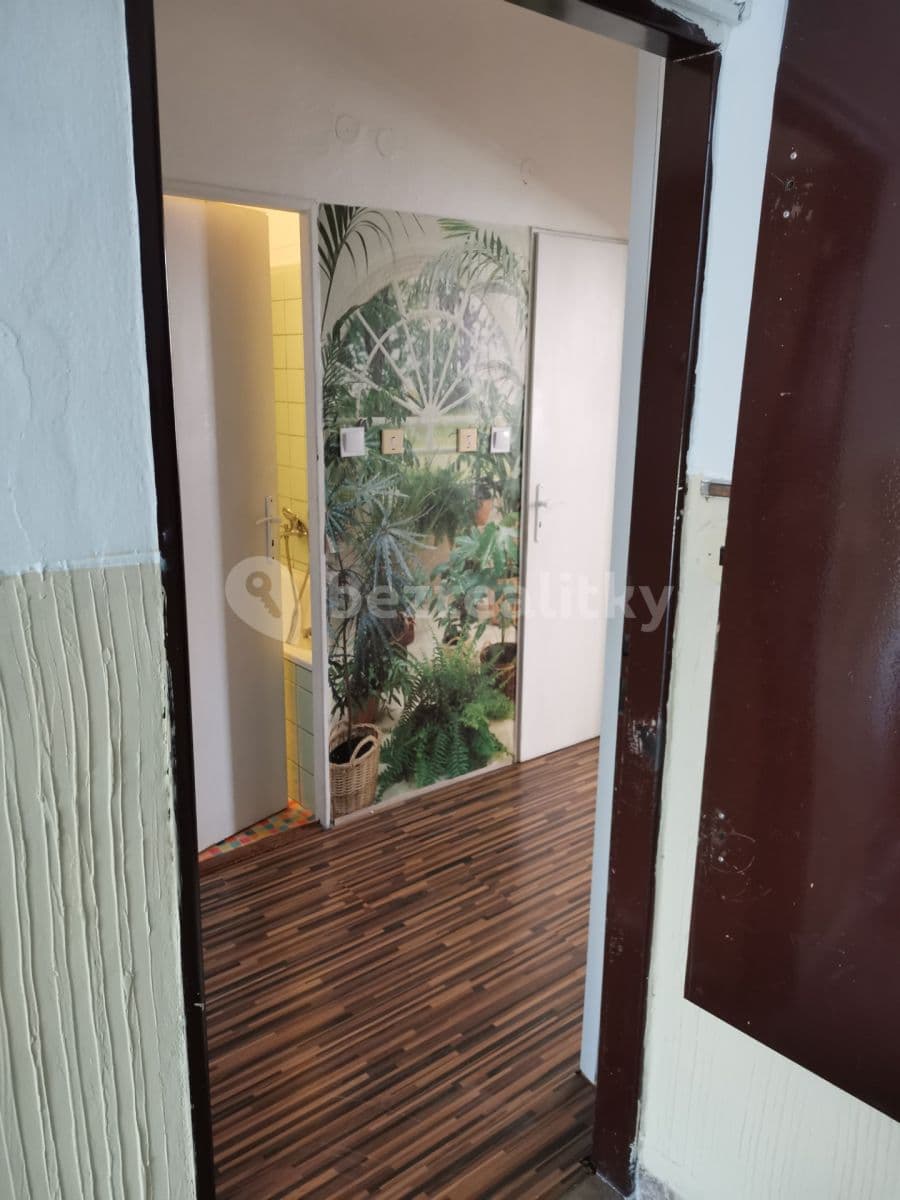 Pronájem bytu 1+1 48 m², Pavlova, Pardubice, Pardubický kraj Pronájem bytu 1+1 48 m², Pavlova, Pardubice, Pardubický kraj