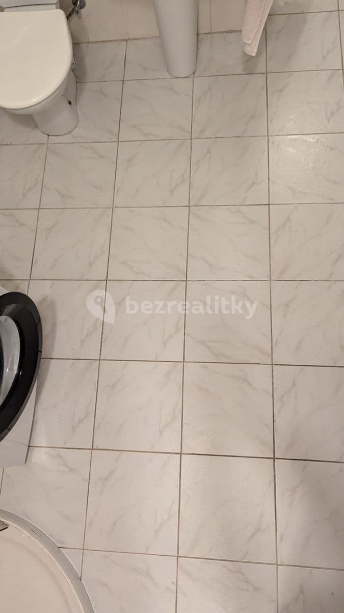 Pronájem bytu 3+kk 110 m², Rooseveltova, Ústí nad Labem, Ústecký kraj Pronájem bytu 3+kk 110 m², Rooseveltova, Ústí nad Labem, Ústecký kraj