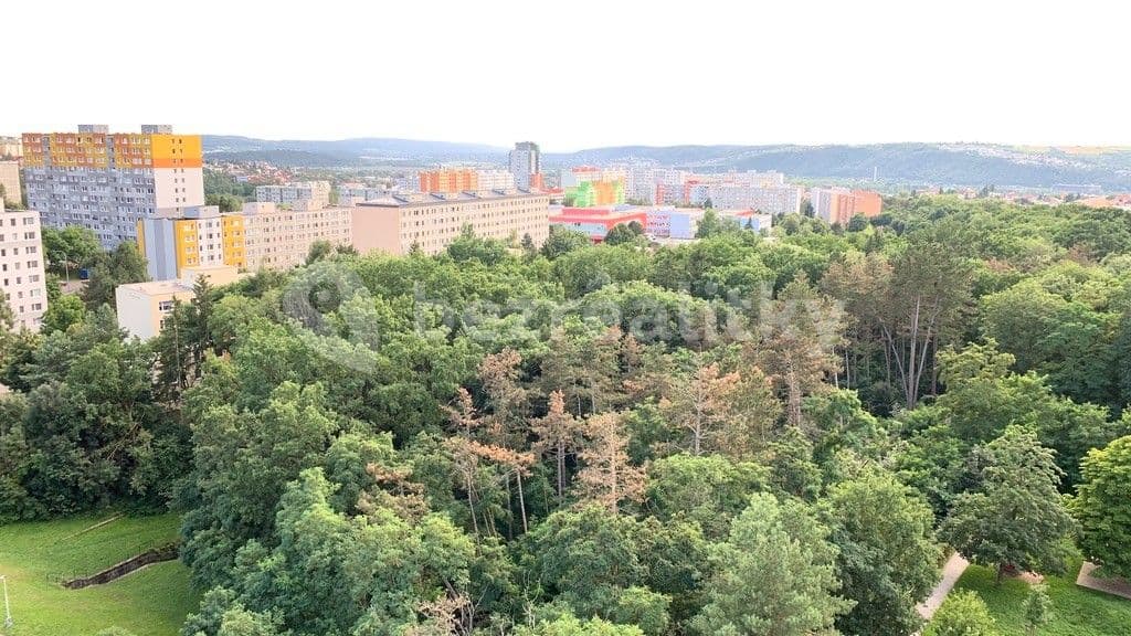 Pronájem bytu 3+1 65 m², Hasova, Praha, Praha Pronájem bytu 3+1 65 m², Hasova, Praha, Praha