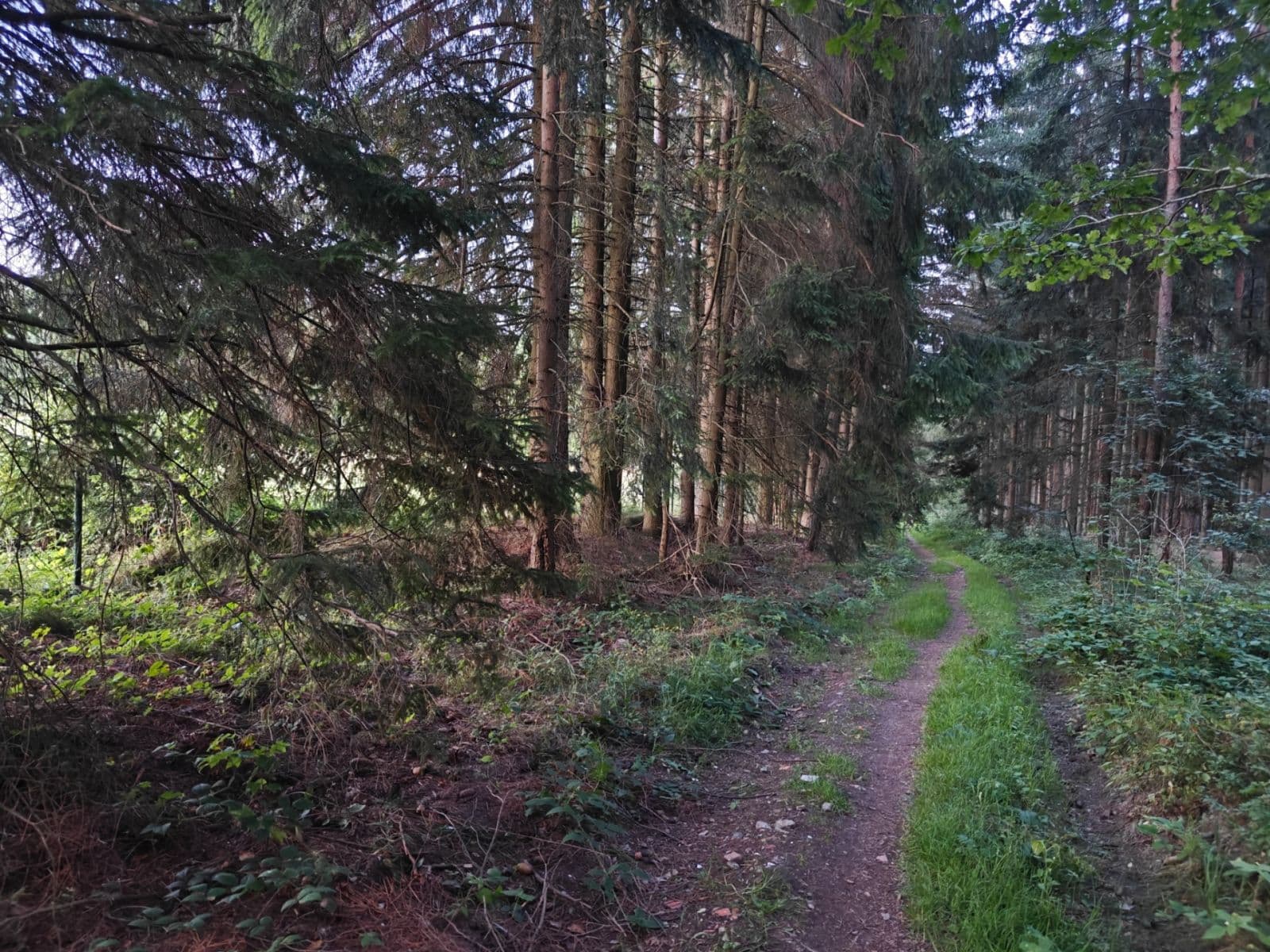 Prodej pozemku 14.175 m², Příbram, Středočeský kraj Prodej pozemku 14.175 m², Příbram, Středočeský kraj