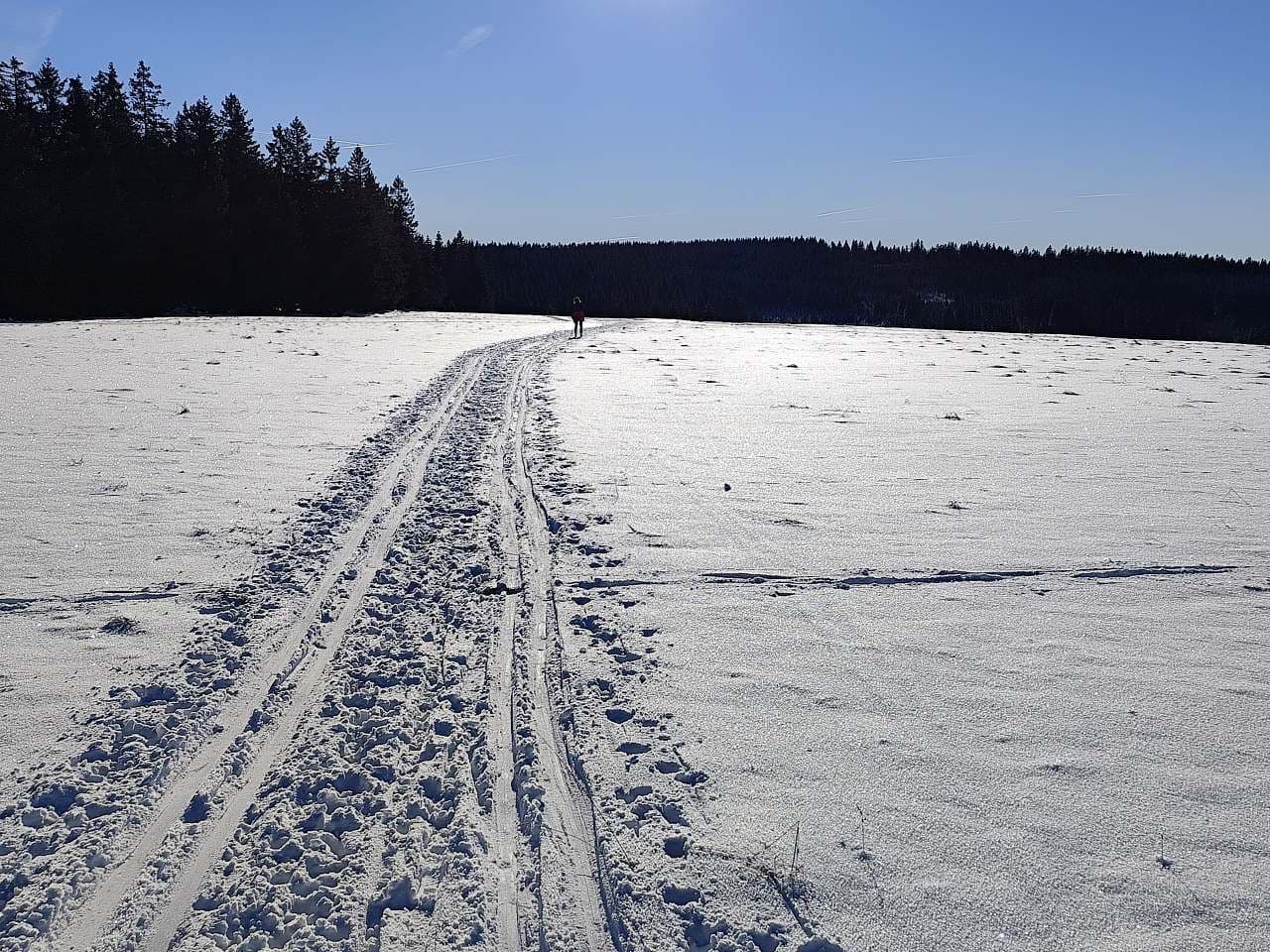 Pronájem chaty, chalupy, Přebuz, Karlovarský kraj Pronájem chaty, chalupy, Přebuz, Karlovarský kraj