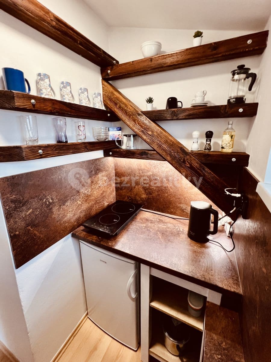 Pronájem bytu 1+kk 35 m², Vídeňská, Brno, Jihomoravský kraj Pronájem bytu 1+kk 35 m², Vídeňská, Brno, Jihomoravský kraj