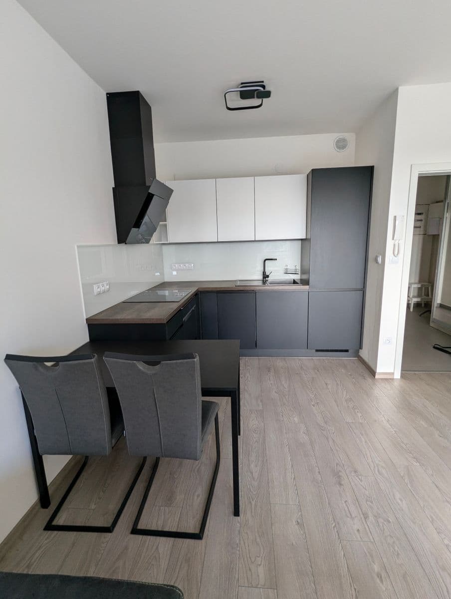 Pronájem bytu 2+kk 50 m², Plotní, Brno, Jihomoravský kraj Pronájem bytu 2+kk 50 m², Plotní, Brno, Jihomoravský kraj