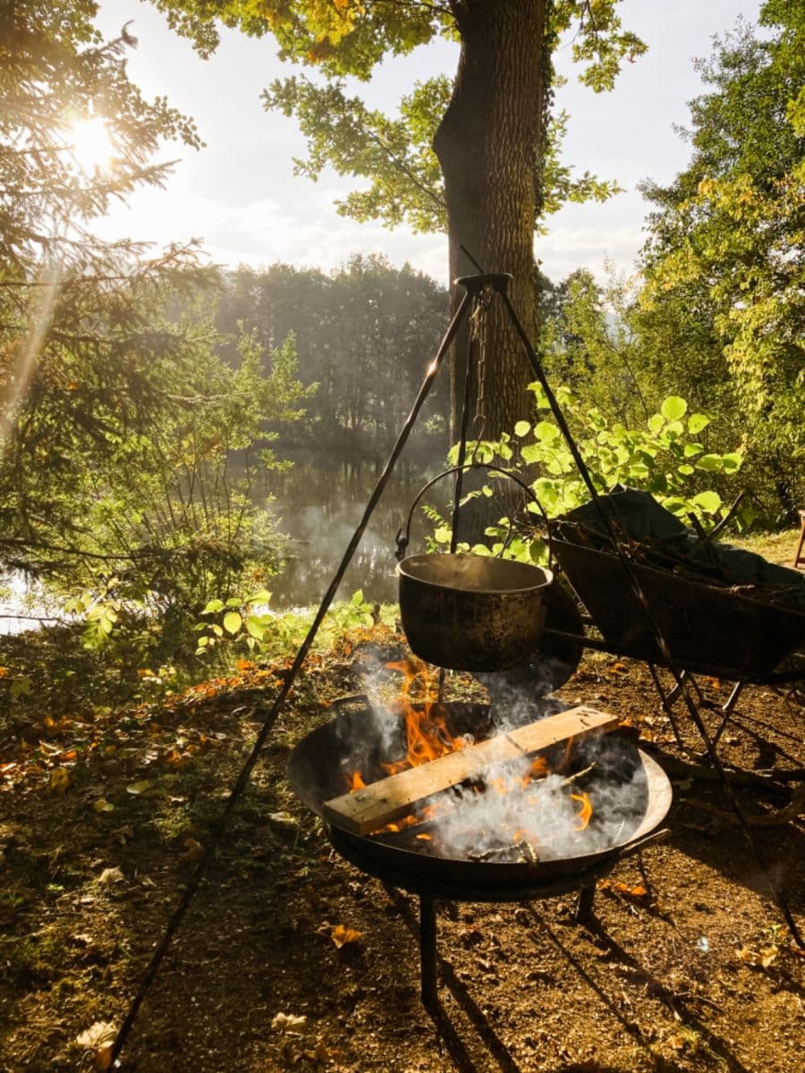 Prodej chaty, chalupy 37 m², pozemek 346 m², Záboří, Jihočeský kraj Prodej chaty, chalupy 37 m², pozemek 346 m², Záboří, Jihočeský kraj