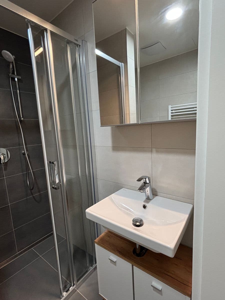 Pronájem bytu 1+kk 32 m², Frištenského, Olomouc, Olomoucký kraj Pronájem bytu 1+kk 32 m², Frištenského, Olomouc, Olomoucký kraj