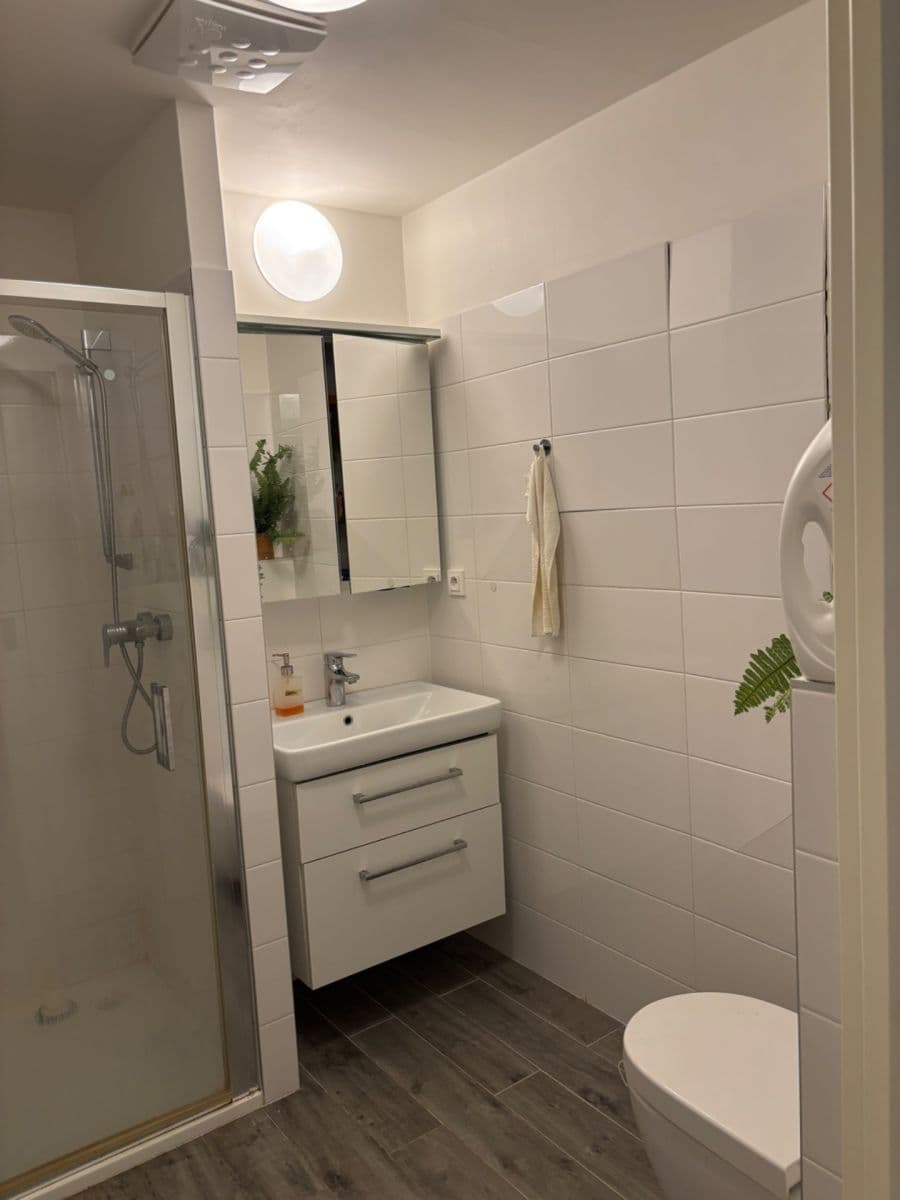 Pronájem bytu 1+kk 32 m², U Hrubých, Vestec, Středočeský kraj Pronájem bytu 1+kk 32 m², U Hrubých, Vestec, Středočeský kraj