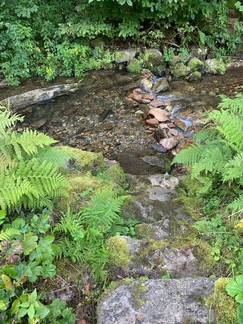 Pronájem bytu 1+kk 36 m², Rokytnice nad Jizerou, Liberecký kraj Pronájem bytu 1+kk 36 m², Rokytnice nad Jizerou, Liberecký kraj