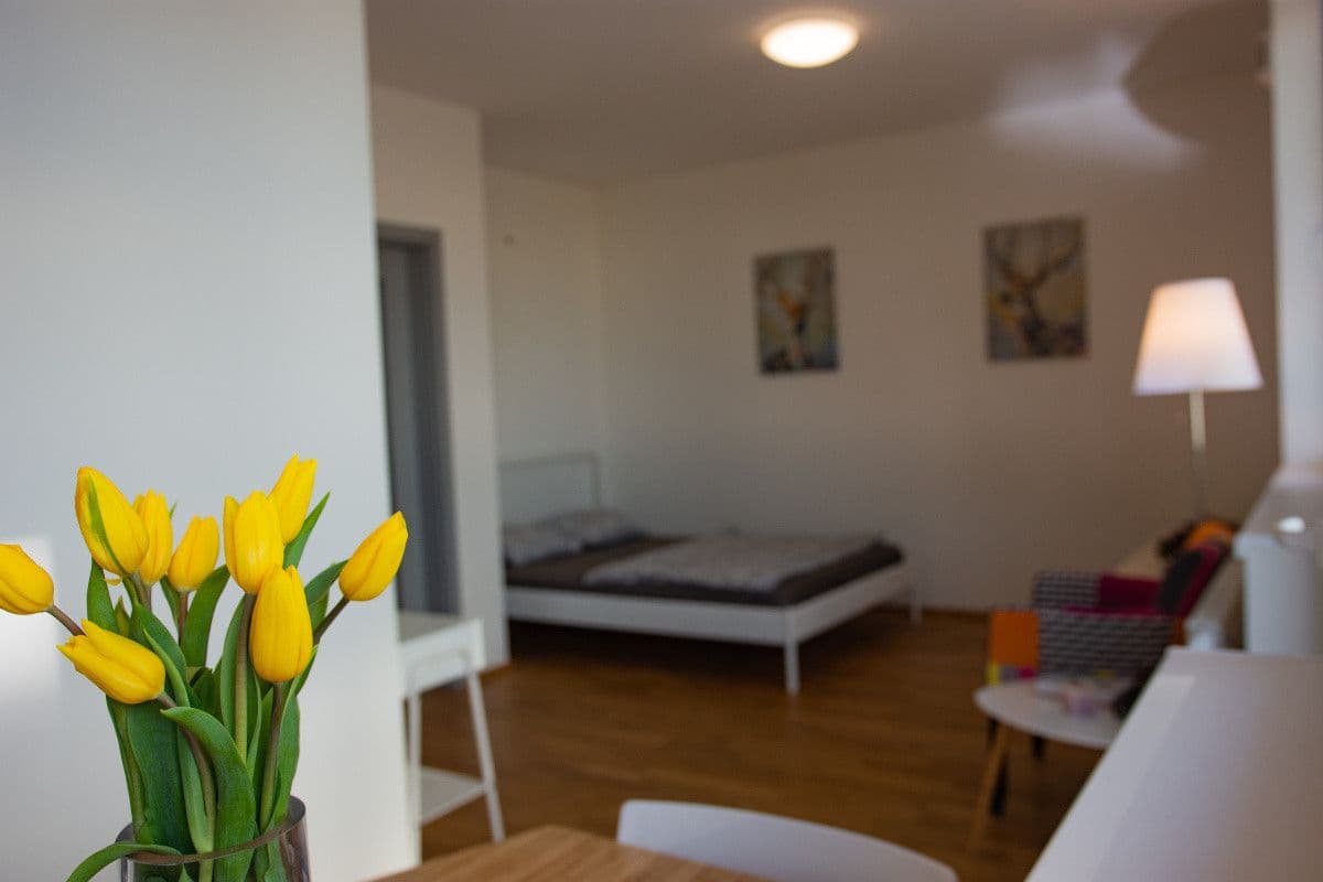 Pronájem bytu 39 m², Pod Stolovou Horou, Praha, Praha Pronájem bytu 39 m², Pod Stolovou Horou, Praha, Praha