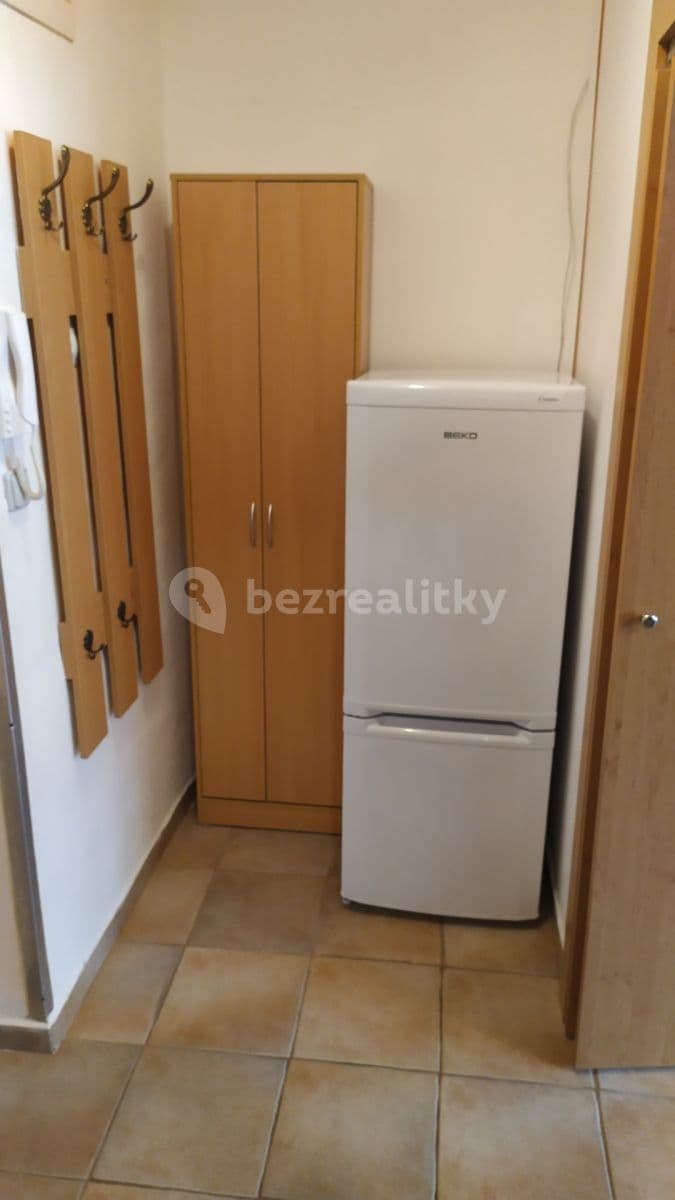 Pronájem bytu 1+kk 32 m², Netušilova, Prostějov, Olomoucký kraj Pronájem bytu 1+kk 32 m², Netušilova, Prostějov, Olomoucký kraj