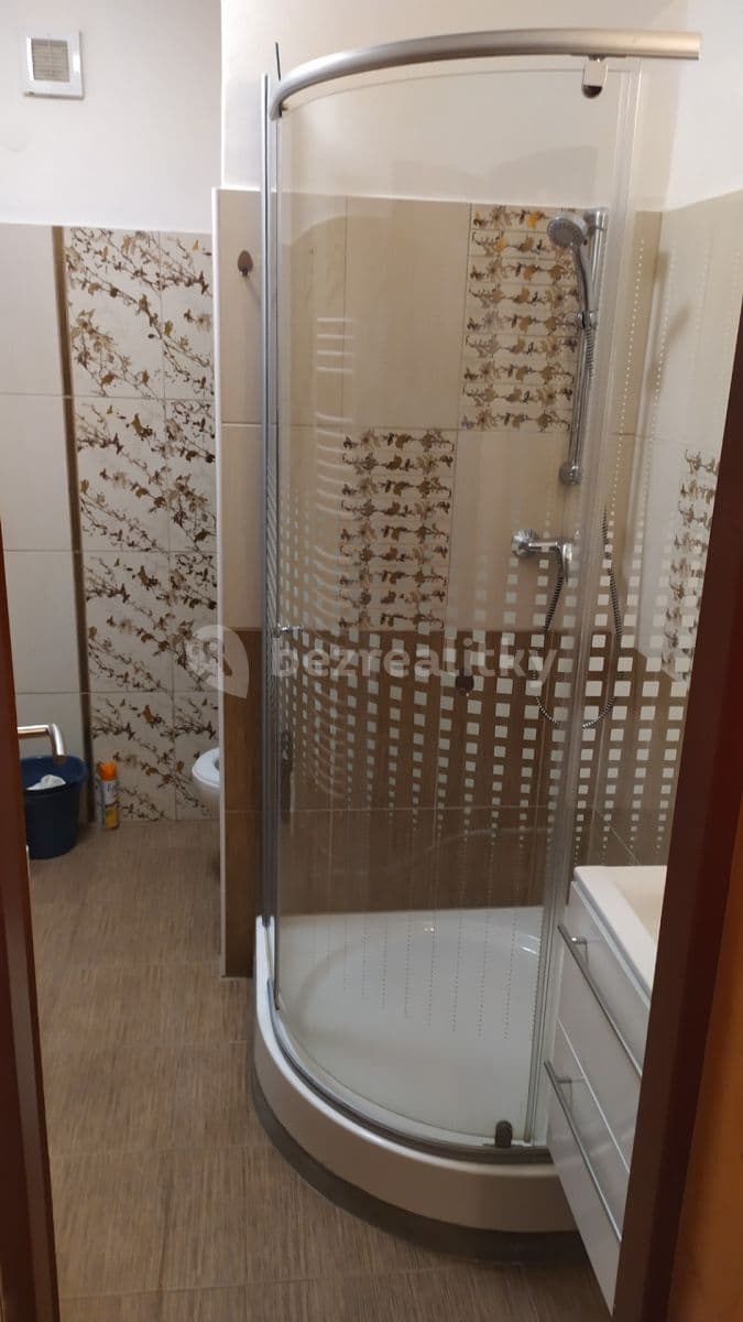 Pronájem bytu 1+kk 32 m², Netušilova, Prostějov, Olomoucký kraj Pronájem bytu 1+kk 32 m², Netušilova, Prostějov, Olomoucký kraj