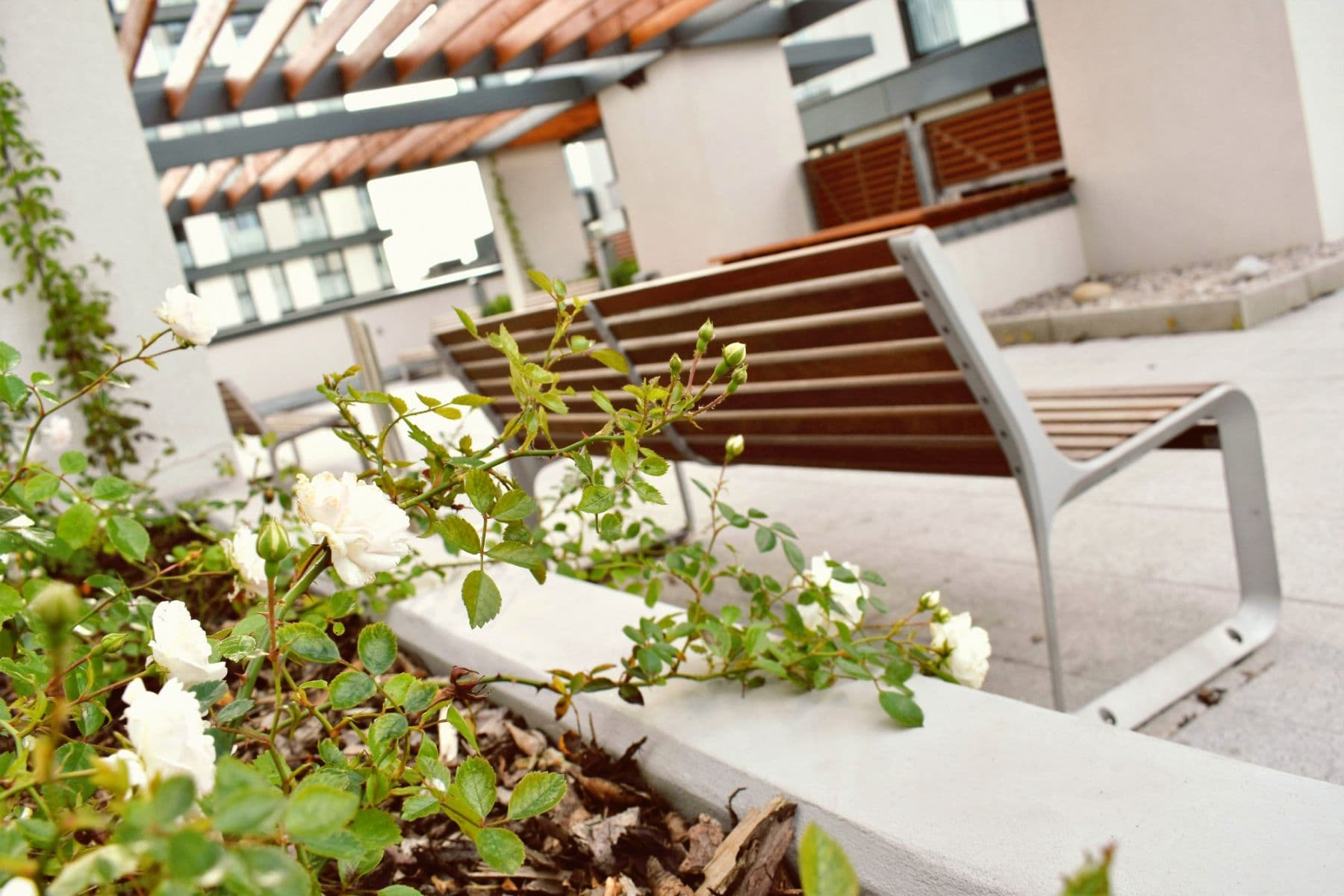 Pronájem bytu 85 m², Olšanská d, Praha, Praha Pronájem bytu 85 m², Olšanská d, Praha, Praha